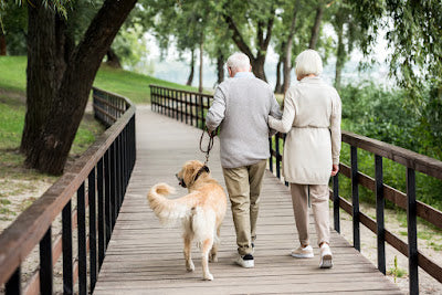 Older couple walking