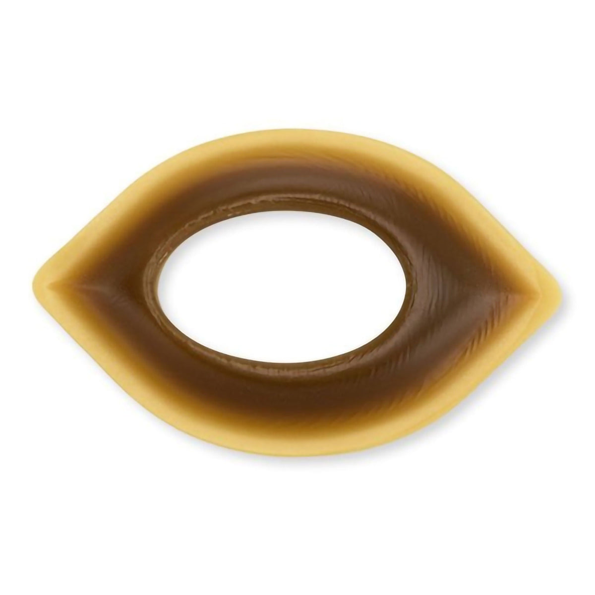 HOL89601