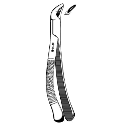 Incisor Bicuspid Root Extracting Forcep 151 Lower - 42-863