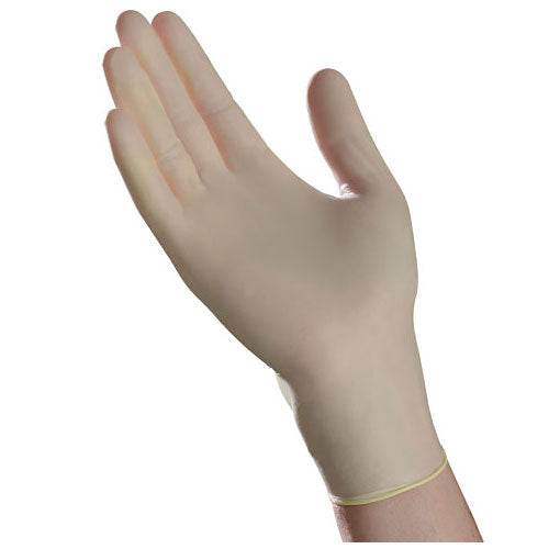 Vinyl Exam Gloves, Powder free