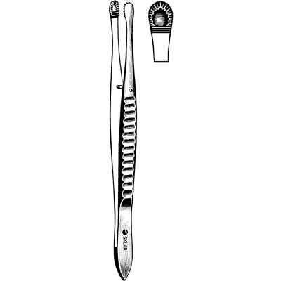 Russian Tissue Forceps 10" - 19-2310