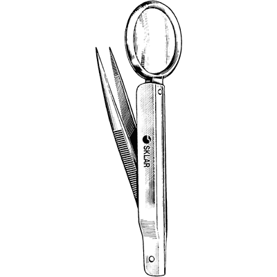 Plain Splinter Forceps 3" - 19-3030