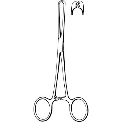 Econo Allis Tissue Forceps 6" - 21-930