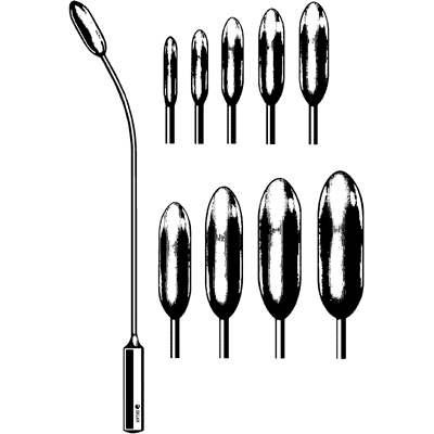 Bakes Dilators in Khaki Case - 32-1530