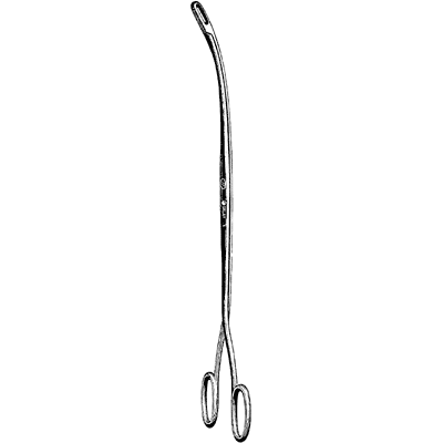 Randall Stone Forceps 9 1-4" - 33-1001
