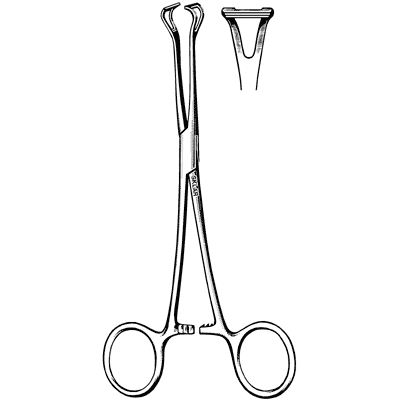Babcock Forceps 8" - 36-1677