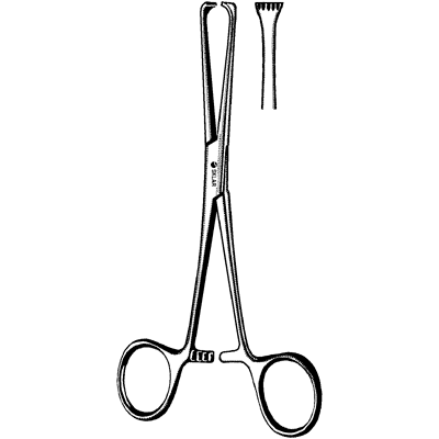Boys-Allis Tissue Forceps 6" - 36-1860