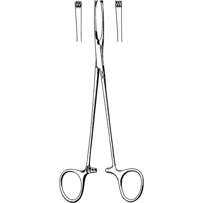 Allis-Judd Tissue Forceps 6" - 36-1960