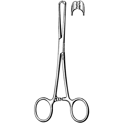 Allis Tissue Forceps 7 1-2" - 36-2275