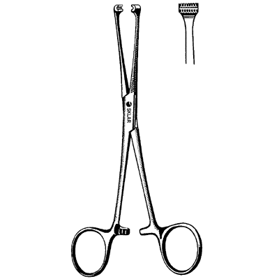 Allis Forceps 8" - 36-2280