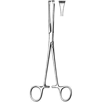 Allis-Thoms Forceps 8" - 36-2380