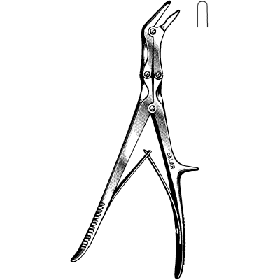 Echlin Rongeur 9" - 40-4102