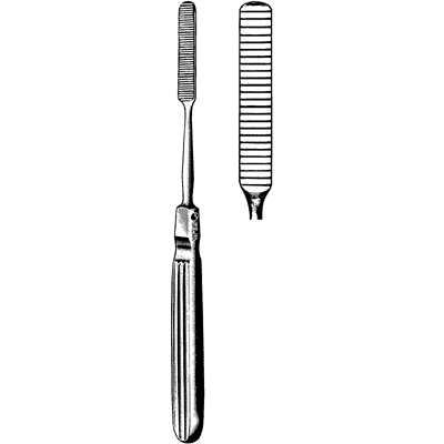 Cottle Raspatory 8" - 40-9820