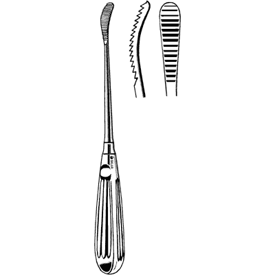 Aufricht Glabellar Rasp 8" - 40-9841