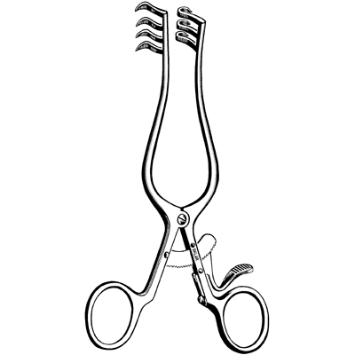 Weitlaner Retractor 6 1-2" - 42-1965