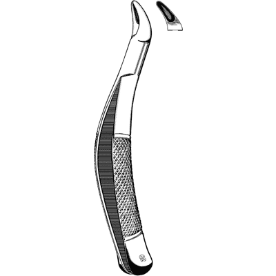 Extracting Forceps #62 - 48-339