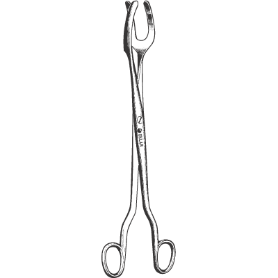 Sterilizer Forceps 8" - 48-761