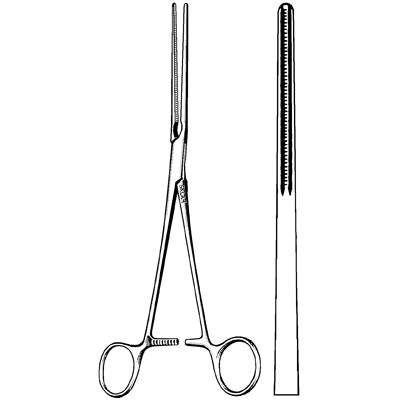 Glover Forceps 8 1-4" - 52-1980