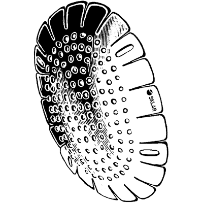 Fox Aluminum Eye Shield - 65-7634