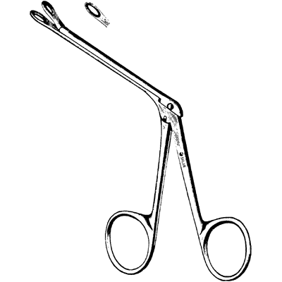 Struempel Ear Forceps - 67-1032