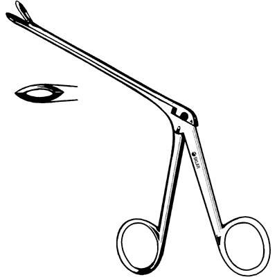 Wilde Ronguer 5 1-2" - 70-5422