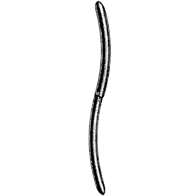 Hegar Uterine Dilator Double End 9mm-10mm - 90-4810