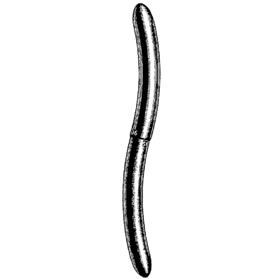 Hegar Uterine Dilator Double End 15mm-16mm - 90-4816