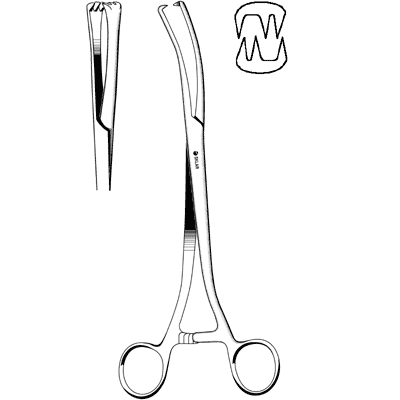 Segond (Collin) Forceps 9 1-2" - 91-3095