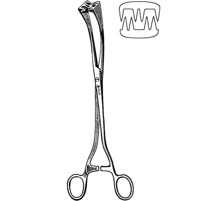 Segond (Collin) Forceps 9 1-2" - 91-3795