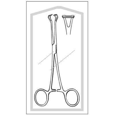 Econo Sterile Babcock Forceps 6 1-4" - 96-2706
