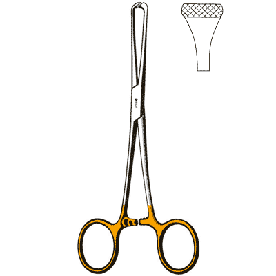 TC Allis Forceps 6" - 97-1555