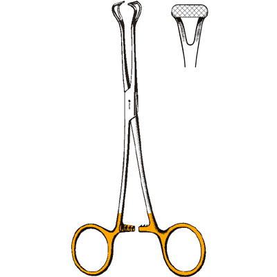 TC Babcock Forceps 6 1-4" - 97-1565