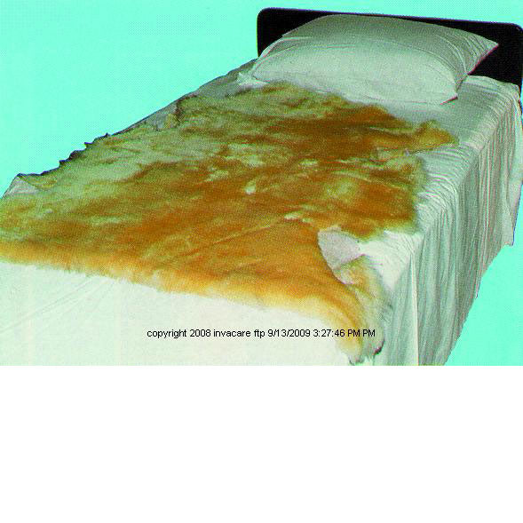 Sofsheep™ Genuine Sheepskin Pad
