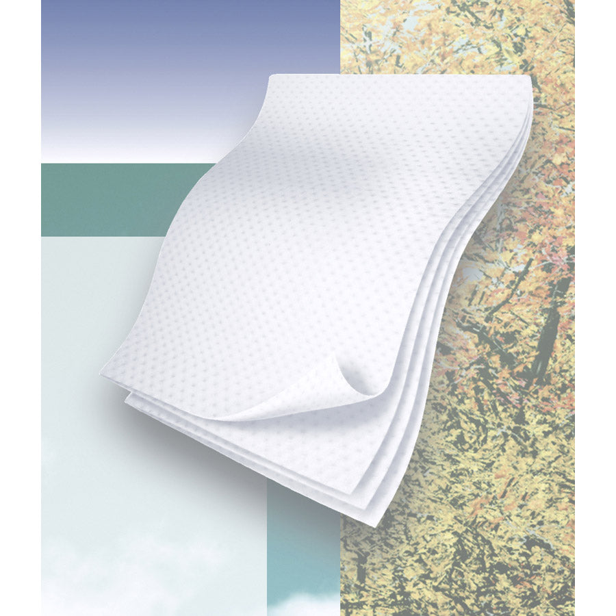 Wipe Dry Cleansing Flushable 9X13