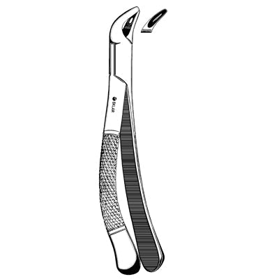 Childrens Universal Extracting Forcep 151S Lower - 43-258