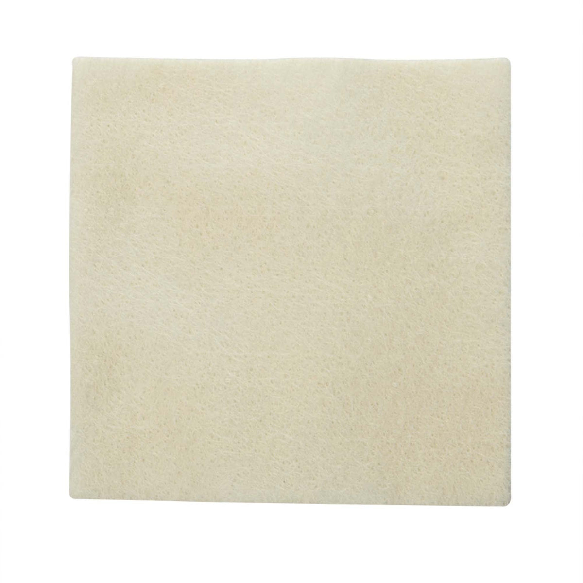 Coloplast Biatain® Alginate Dressing
