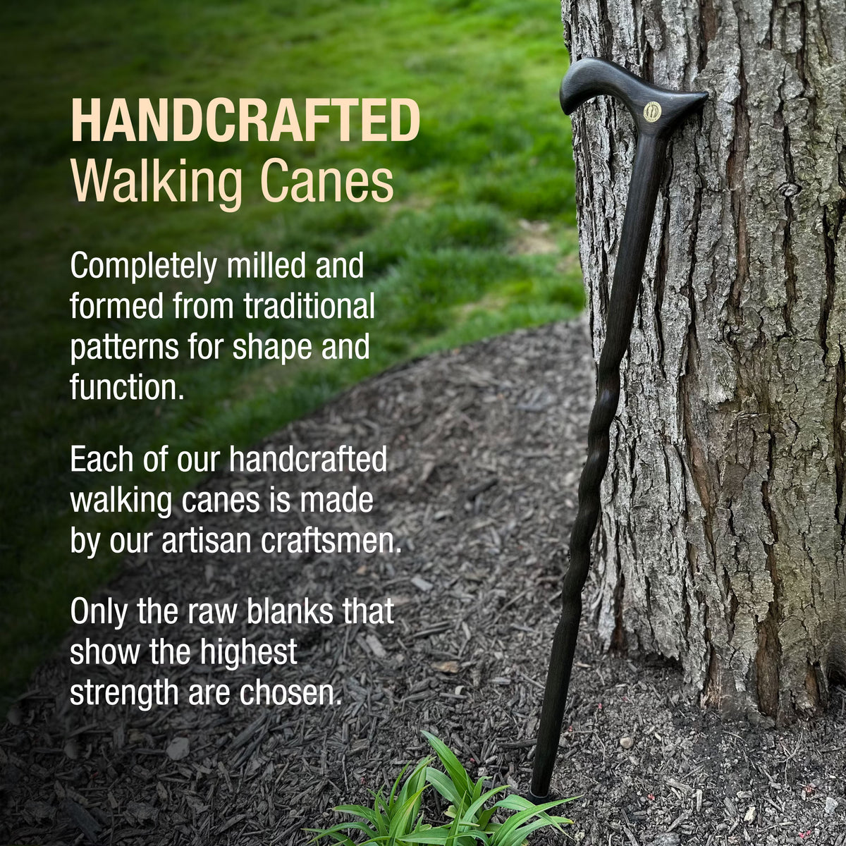 Handcrafted Wooden Walking Cane
