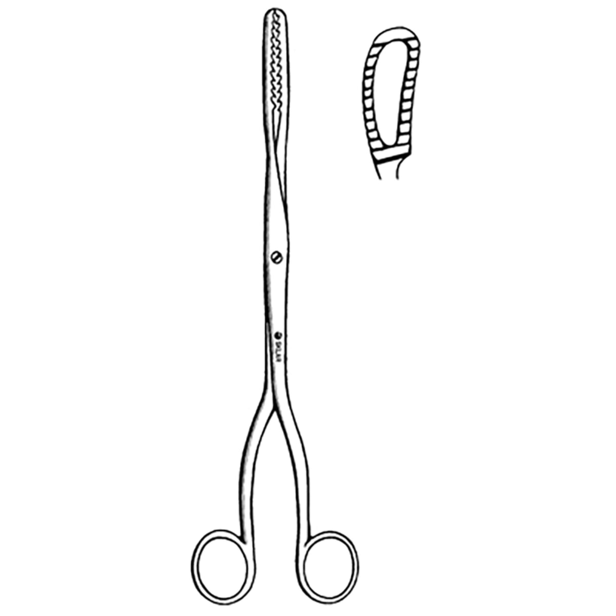 Bierer Ovum Forcep 12 1 2 - 91-3823