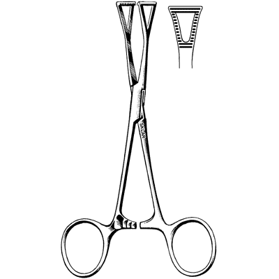 Collins Forceps 6 1-4" - 22-6162